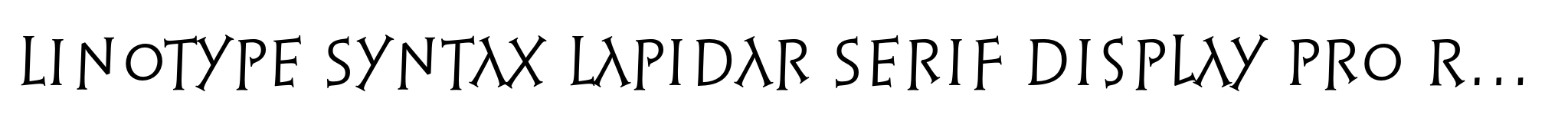 Linotype Syntax Lapidar Serif Display Pro Regular image